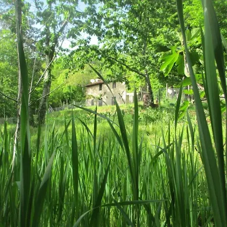 Casa Paladini * Castiglione di Garfagnana